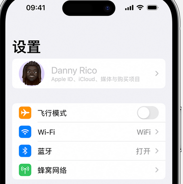 通山appleID维修服务iPhone设置中Apple ID显示为灰色无法使用