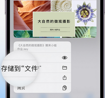 通山apple维修中心分享iPhone文件应用中存储和找到下载文件