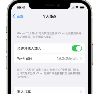 通山apple服务站点分享iPhone上个人热点丢失了怎么办 