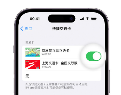 通山apple维修点分享iPhone上更换Apple Pay快捷交通卡手绘卡面 