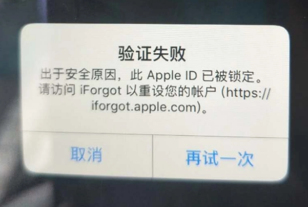 通山iPhone维修分享iPhone上正常登录或使用AppleID怎么办 