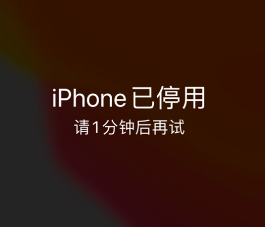 通山苹果手机维修分享:iPhone 显示“不可用”或“已停用”怎么办？还能保留数据吗？ 