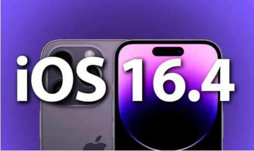 通山苹果14维修分享：iPhone14可以升级iOS16.4beta2吗？ 