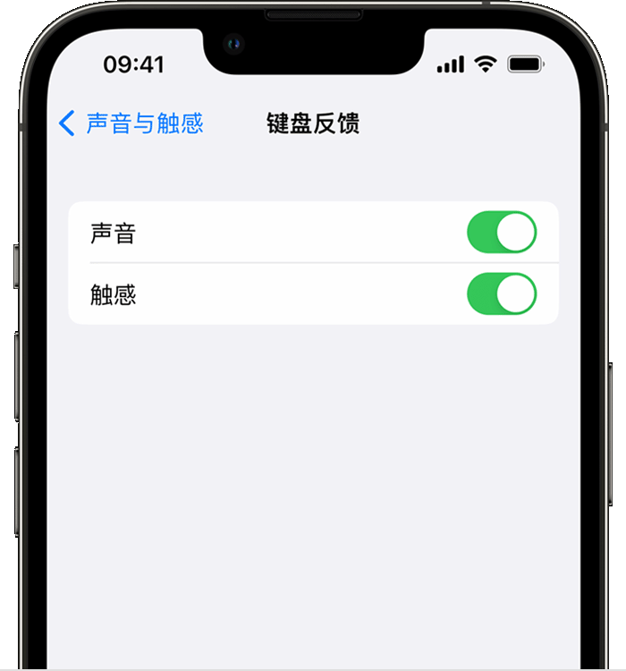 通山苹果14维修店分享如何在 iPhone 14 机型中使用触感键盘 