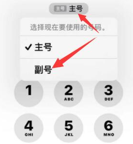 通山苹果14维修店分享iPhone 14 Pro Max使用副卡打电话的方法 