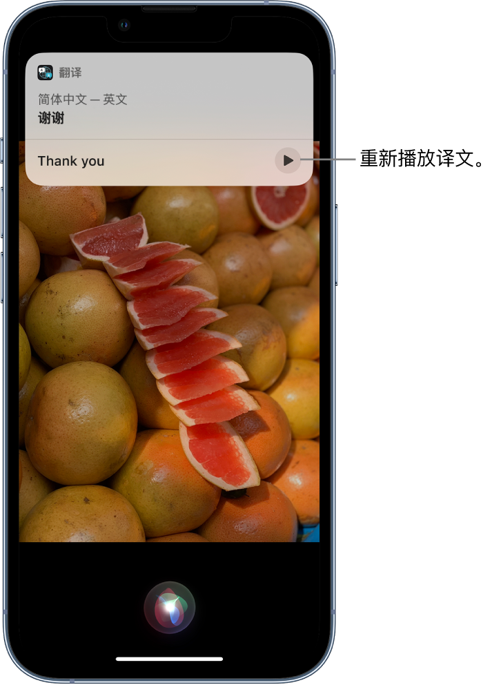 通山苹果14维修分享 iPhone 14 机型中使用 Siri：了解 Siri 能帮你做什么 