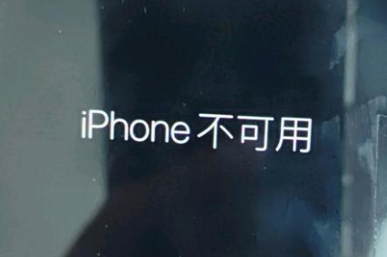 通山苹果服务网点分享锁屏界面显示“iPhone 不可用”如何解决 