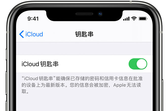 通山苹果手机维修分享在 iPhone 上开启 iCloud 钥匙串之后会储存哪些信息 