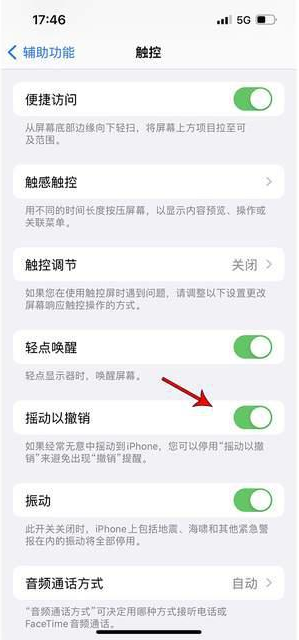 通山苹果手机维修分享iPhone手机如何设置摇一摇删除文字 