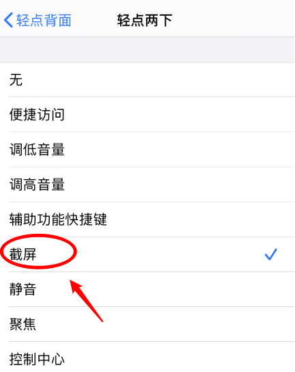 通山苹果手机维修分享iPhone12如何启用双击截屏 