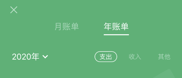 通山苹果手机维修分享如何在 iPhone 上查看支付宝和微信年支出账单 